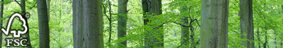 energy efficiency